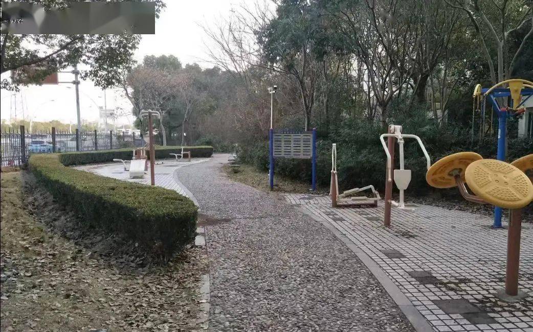 杏彩体育，这个家门口的公园开了！上新一批智能化健身器械